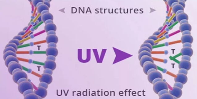 1623836935.png QQ截圖20210603171558.png